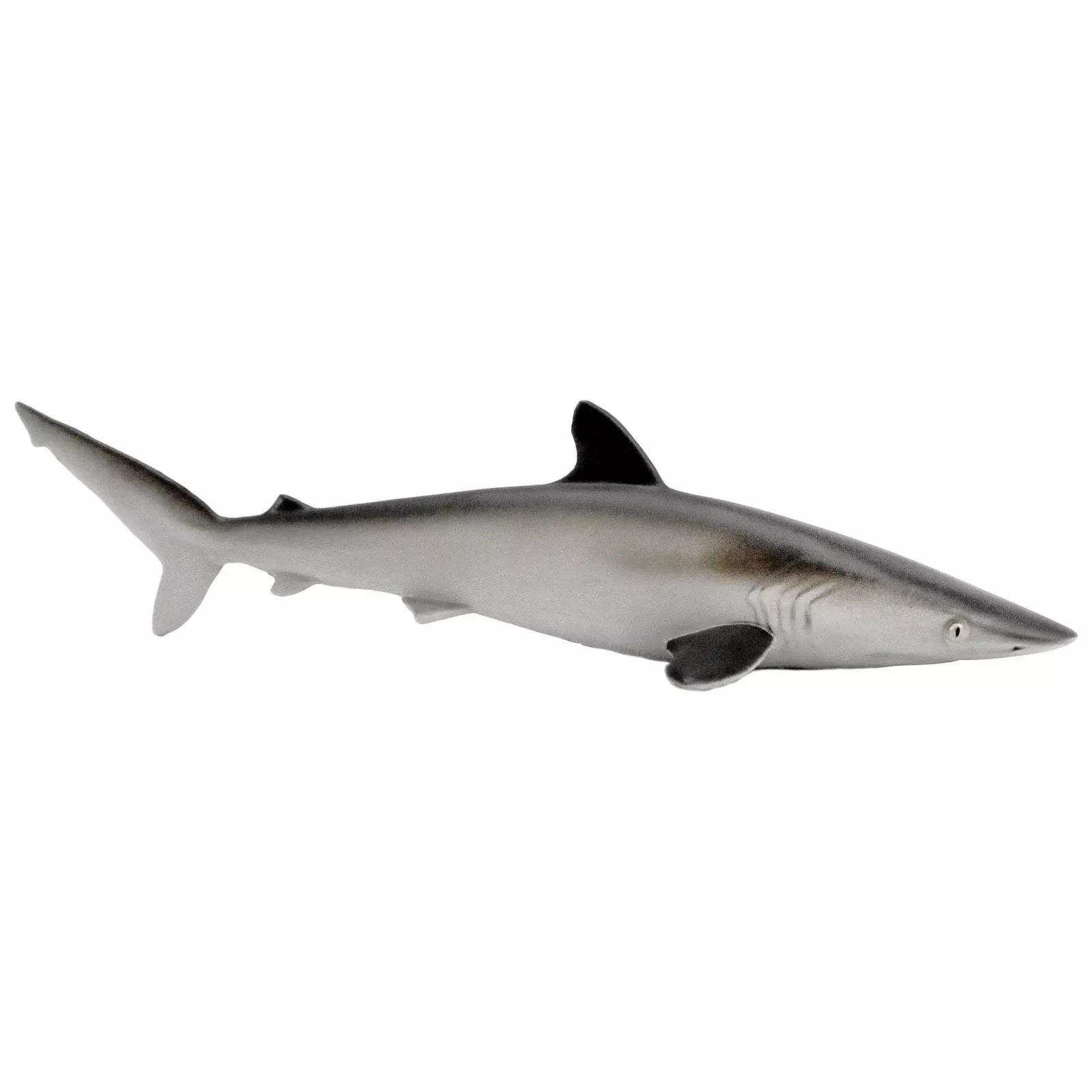 Safari Ltd. Figurica - svilnati morski pes