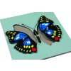 235185 1 puzzle motyl