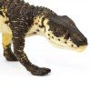 236271 3 postosuchus