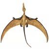 236295 5 ramphorhynchus