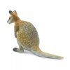 237414 3 klokan wallaby