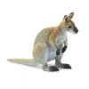 237414 4 klokan wallaby