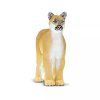 238068 4 puma floridska