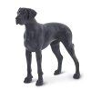 238536 6 nemecka doga