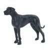 238536 nemecka doga