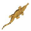 238557 3 sarcosuchus