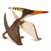 240462 5 pteranodon