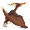 240462 6 pteranodon
