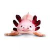 240846 4 axolotl