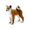 241386 shiba inu