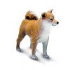 241386 2 shiba inu