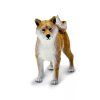 241386 3 shiba inu