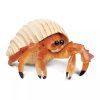 236163 krab poustevnik