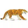 236418 2 tygr bengalsky