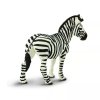 236427 2 zebra