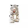 236445 2 bily bengalsky tygr