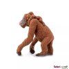 236478 1 orangutan s mladetem