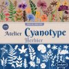 240984 2 kyanotypie herbarska dilna