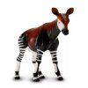 241371 2 okapi