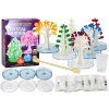 pol pl Zestaw Edukacyjny Kreatywny Do Hodowli Drzewek Krystalicznych 17669 1