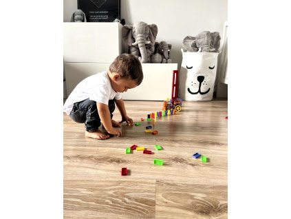 lokomotiva domino (1)