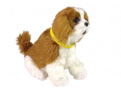 Interaktivní pejsek Kavalír King Charles španěl1