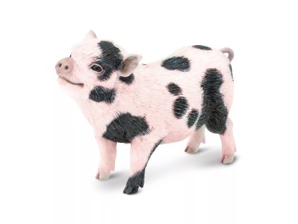 237408 vietnamske prasatko