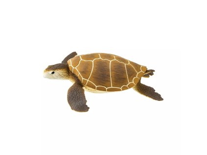 237792 kareta obrovska