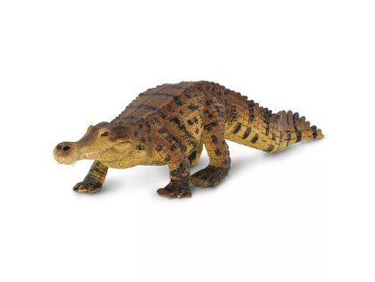 238557 sarcosuchus