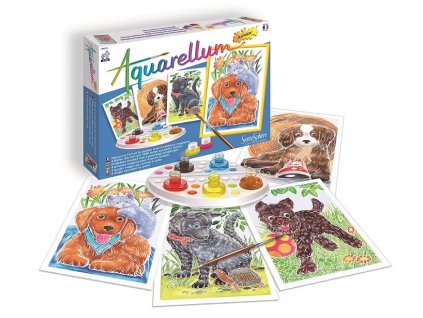 238884 akvarely junior stenata