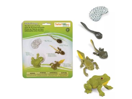 235641 zivotni cyklus safari zaba