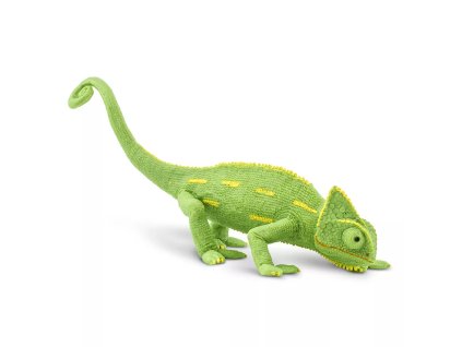 236112 mlade chameleona