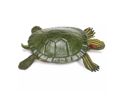 236190 zelva cervenousata