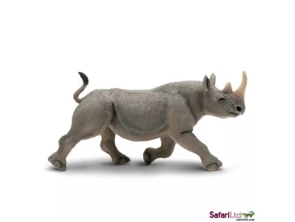 236379 nosorozec dvourohy