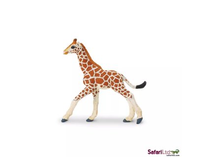 236397 mlade zirafy sitovane