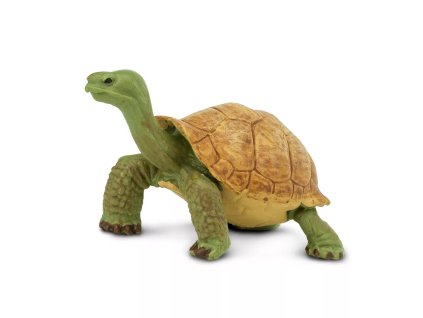 236436 zelva obrovska