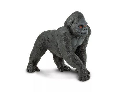 236451 gorila nizinna