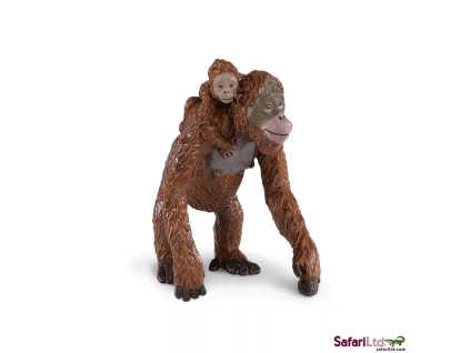 236478 orangutan s mladetem