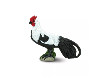 236658 kohout fenix