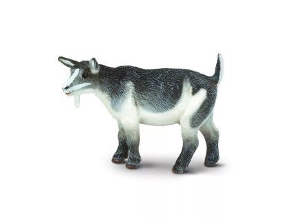 236661 trpaslici koza