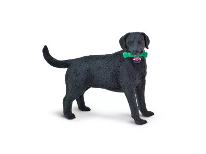 236697 cerny labrador