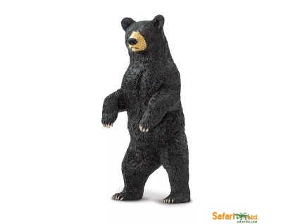 237357 medved baribal