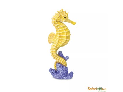 237672 konicek morsky