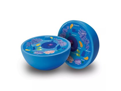 238683 rez zvireci bunkou