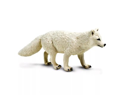 240651 liska polarni