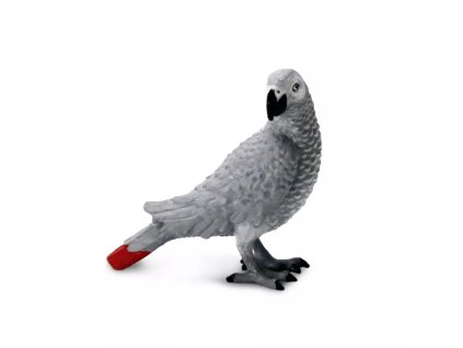 240897 papousek sedy