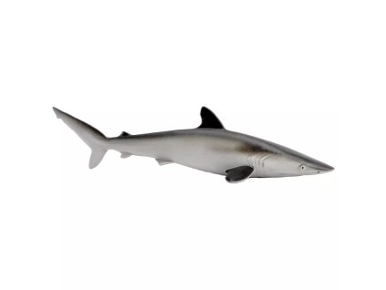 240906 zralok hedvabny