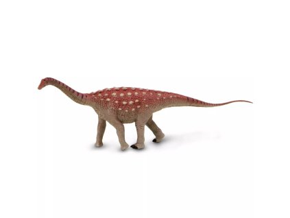 241164 saltasaurus
