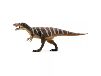 241197 nanotyrannus