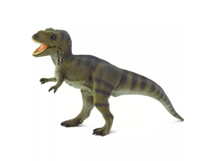 241221 tyrannosaurus rex